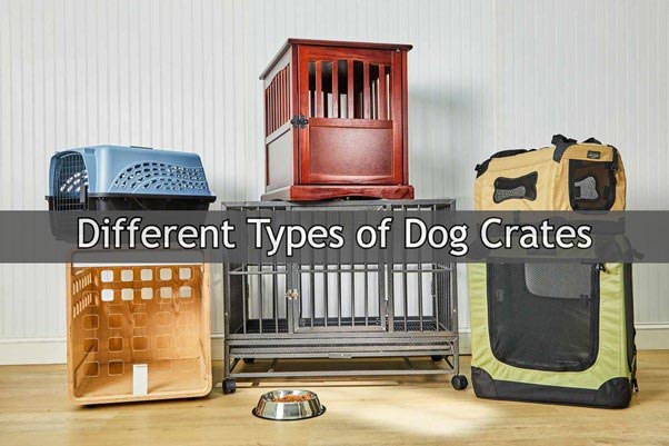 Different types of dog crates