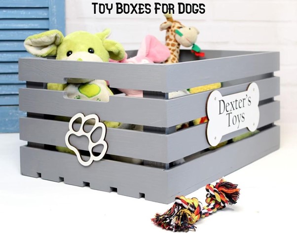 Toy Boxes for Dogs